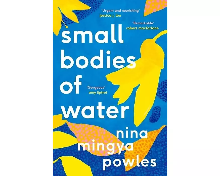 Small Bodies of Water