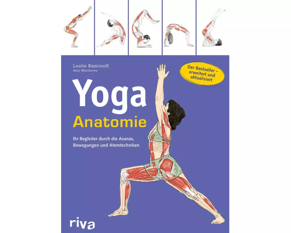 Yoga-Anatomie