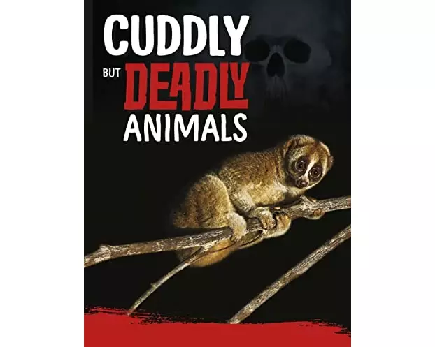 Cuddly But Deadly Animals