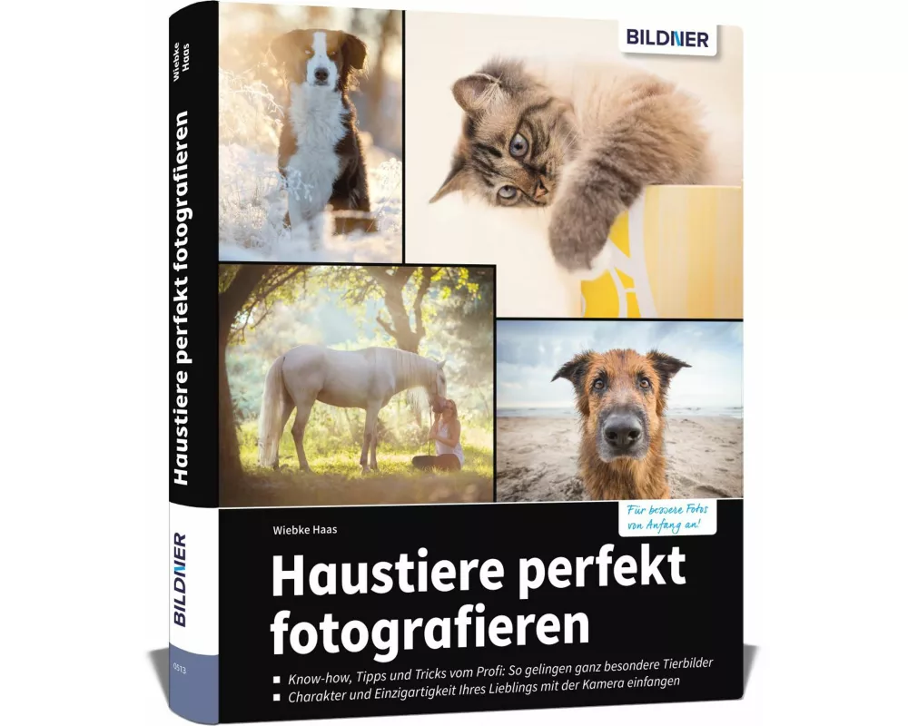 Haustiere perfekt fotografieren