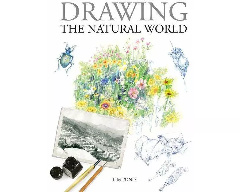 Drawing the Natural World