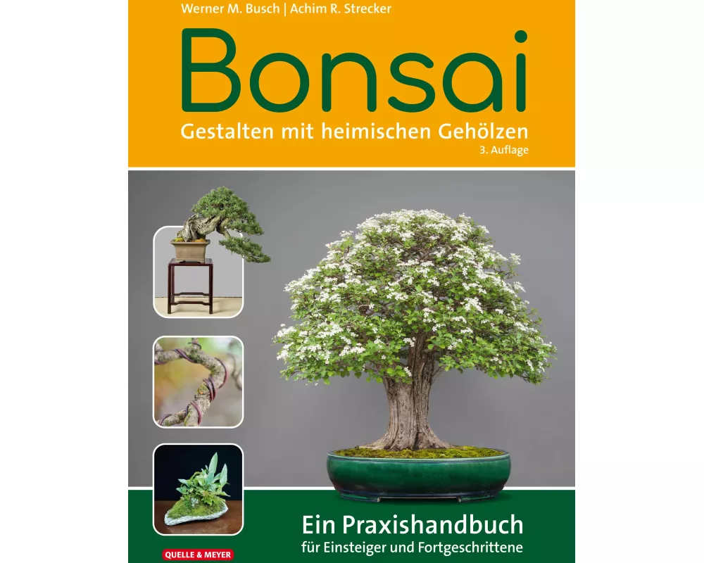Bonsai - Gestalten mit heimischen Gehölzen