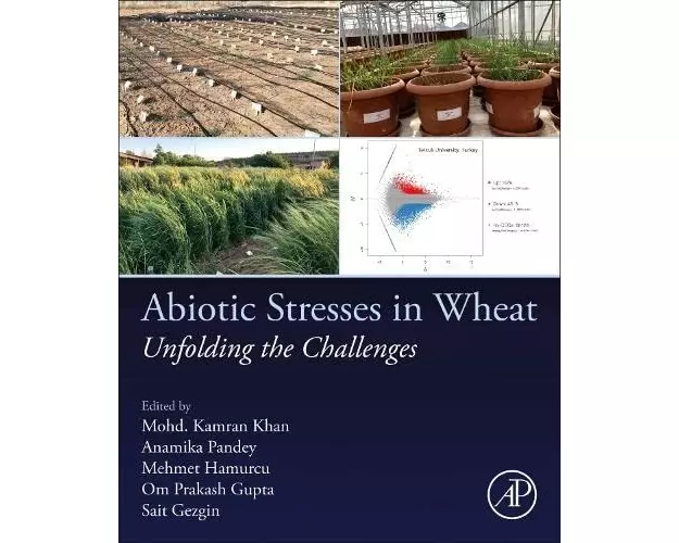 Abiotic Stresses in Wheat