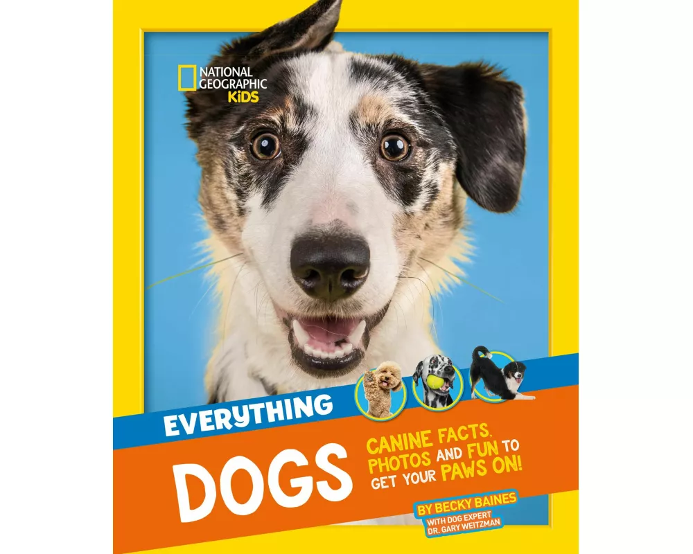 Everything: Dogs