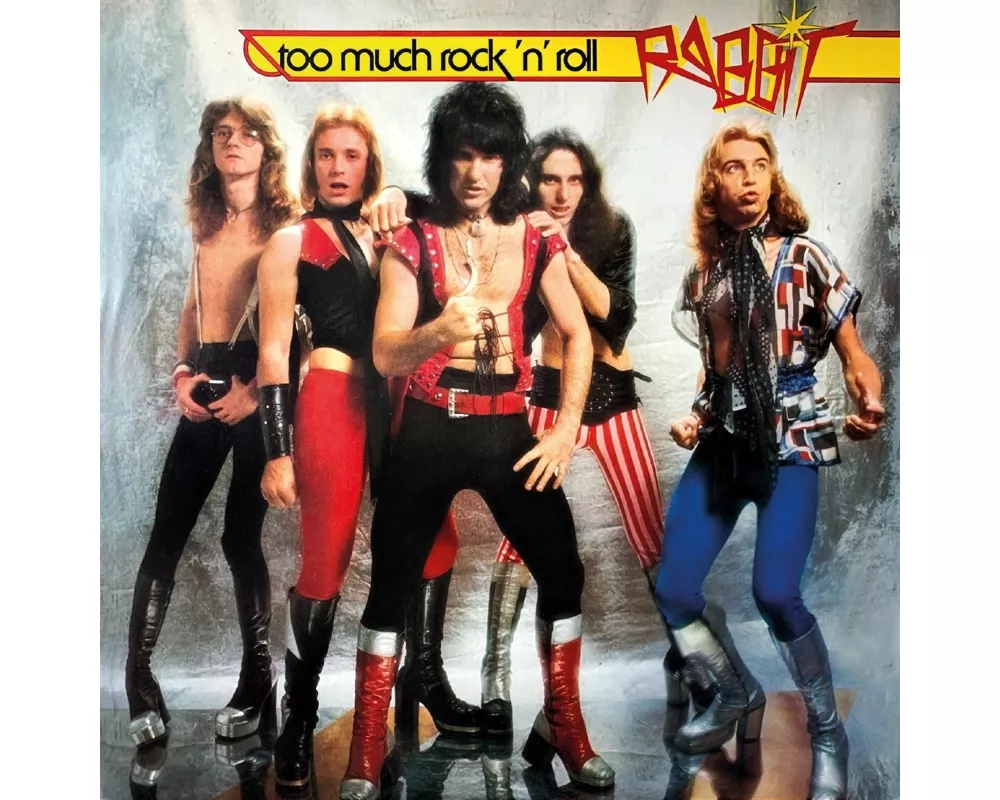 TOO MUCH ROCK n' ROLL