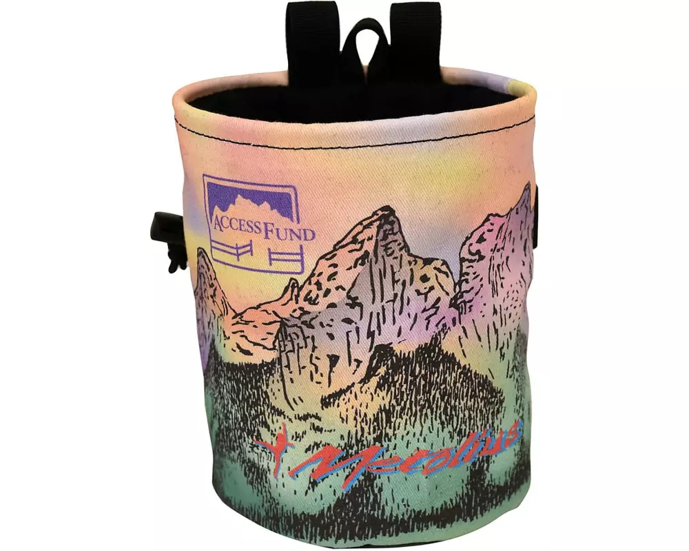 Metolius Chalk Bag Access Fund Comp Lila/Grün