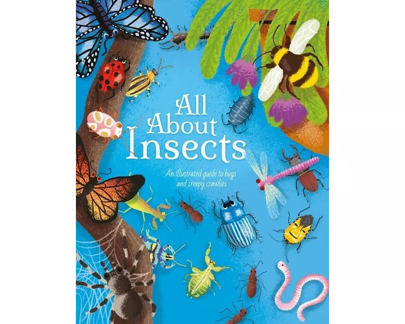 All About Insects