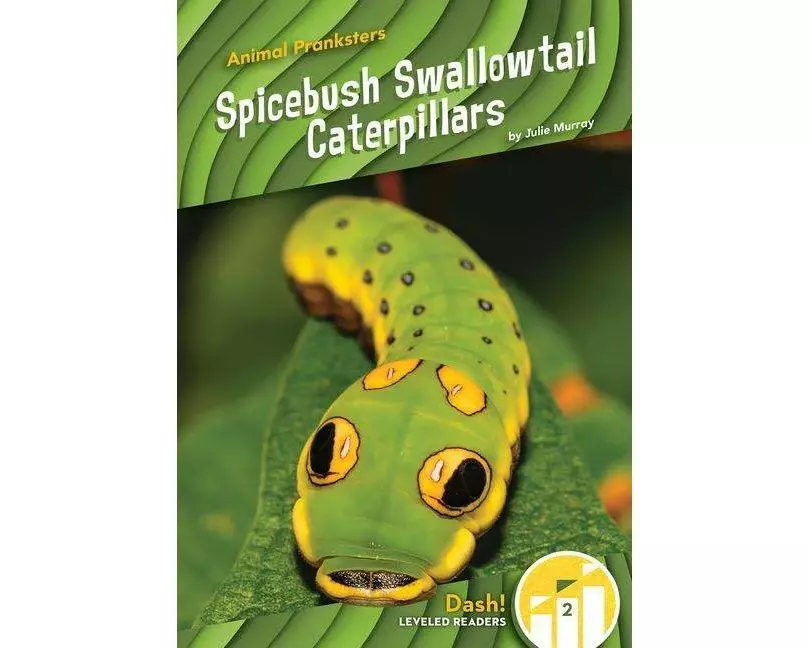 Animal Pranksters: Spicebush Swallowtail Caterpillars
