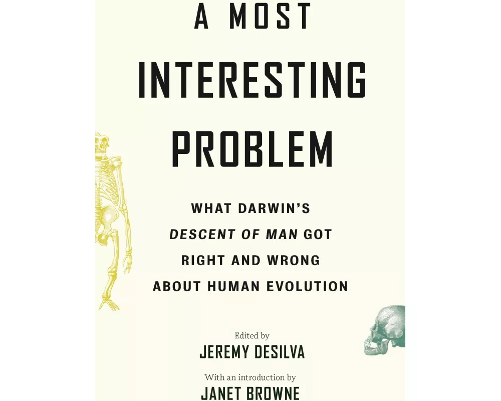 A Most Interesting Problem