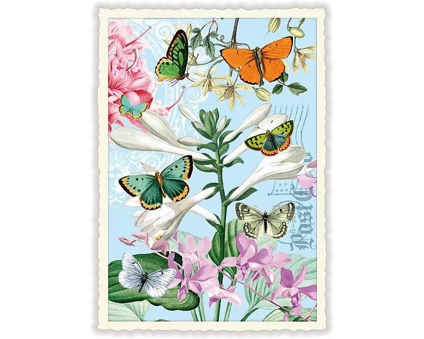 Postkarte / Schmetterlinge / blanko