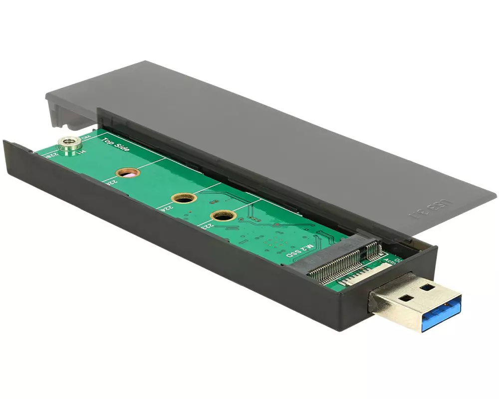Delock Externes Gehäuse USB3.1 Gen2-A - SATA-M.2 SSD