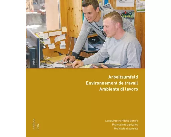 E Arbeitsumfeld, 3. Lehrjahr