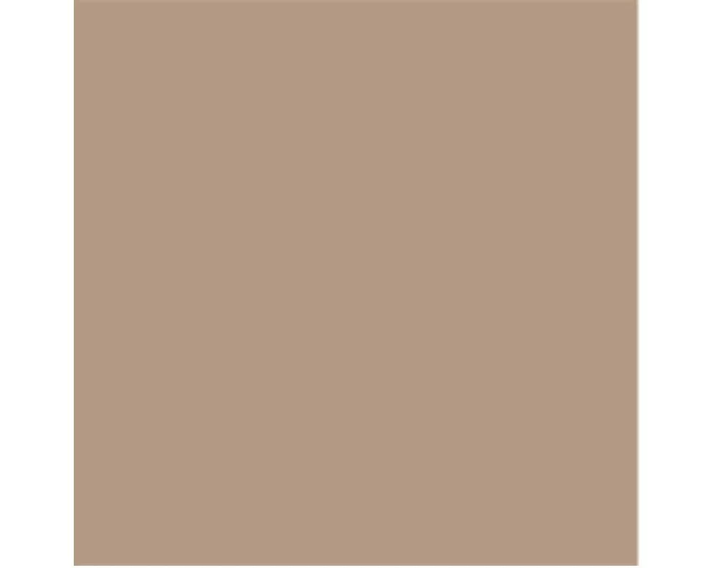 MESAUDA Pro Light Concealer N50