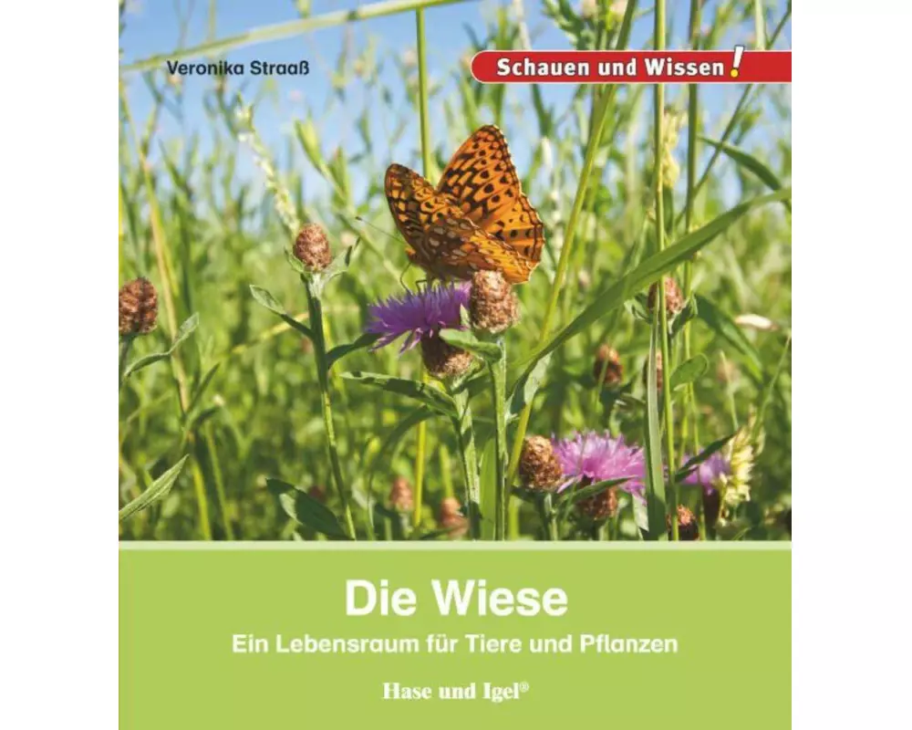 Die Wiese