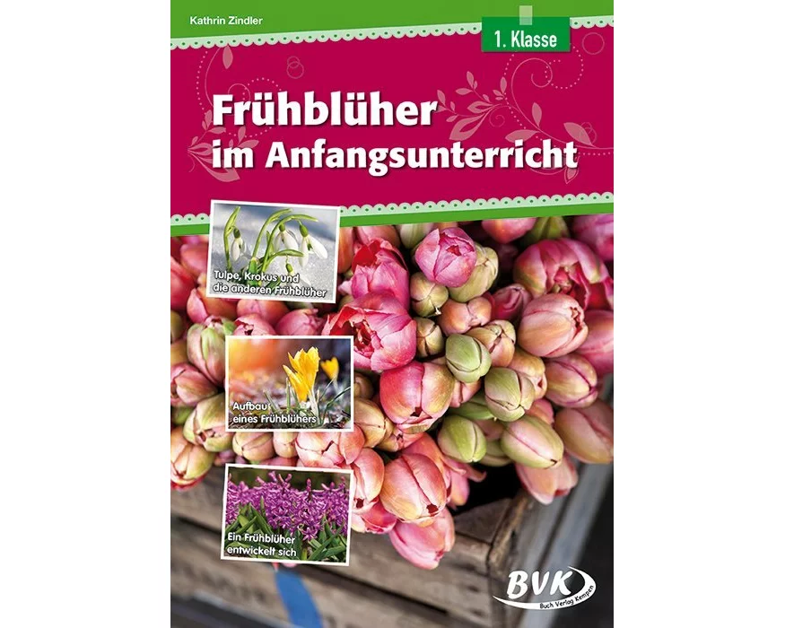 Frühblüher im Anfangsunterricht