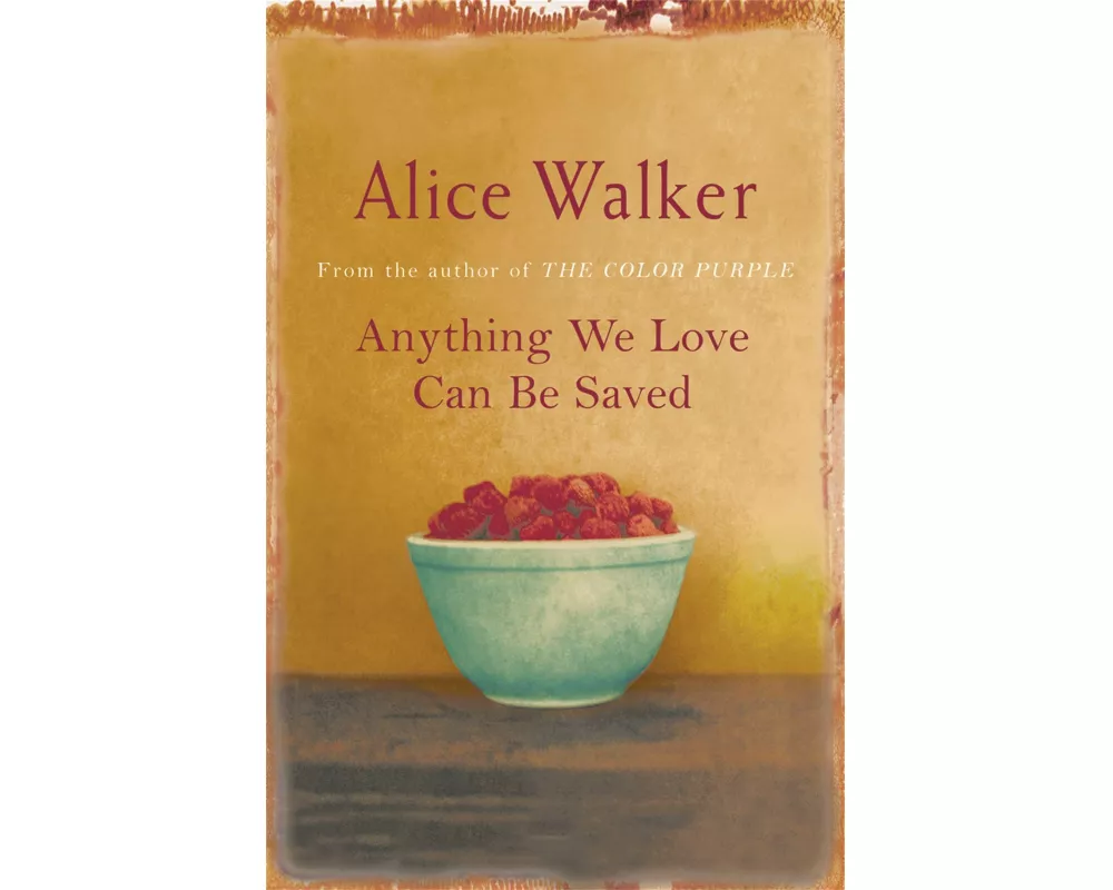 Anything We Love Can be Saved