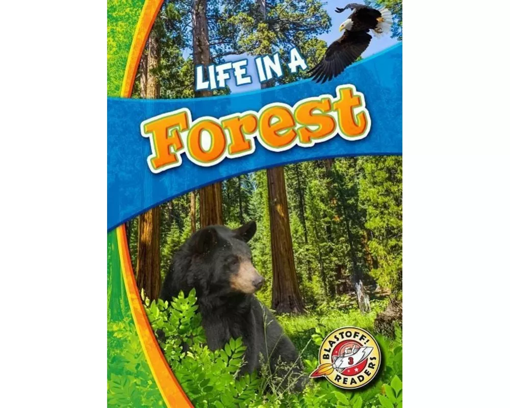 Life in a Forest
