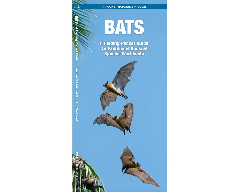 Bats