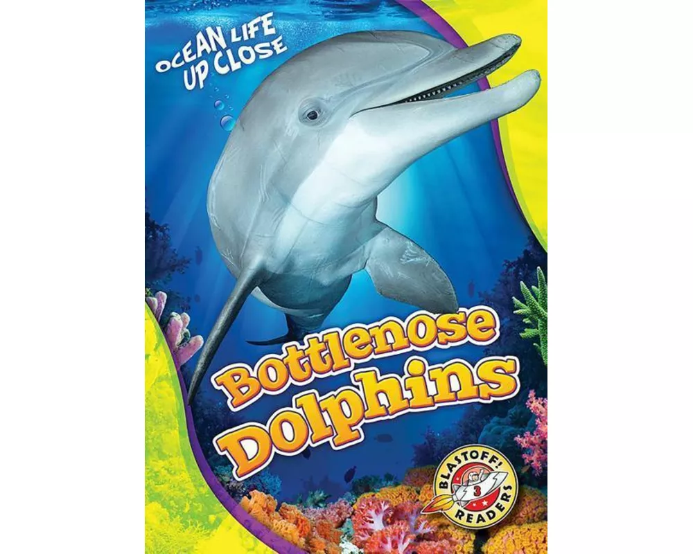 Bottlenose Dolphins