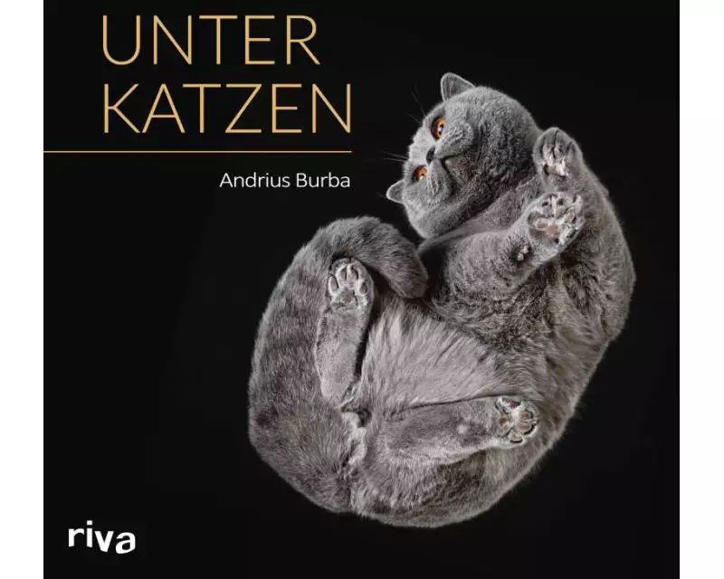 Unter Katzen