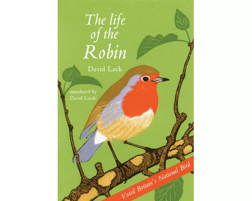 The Life of the Robin