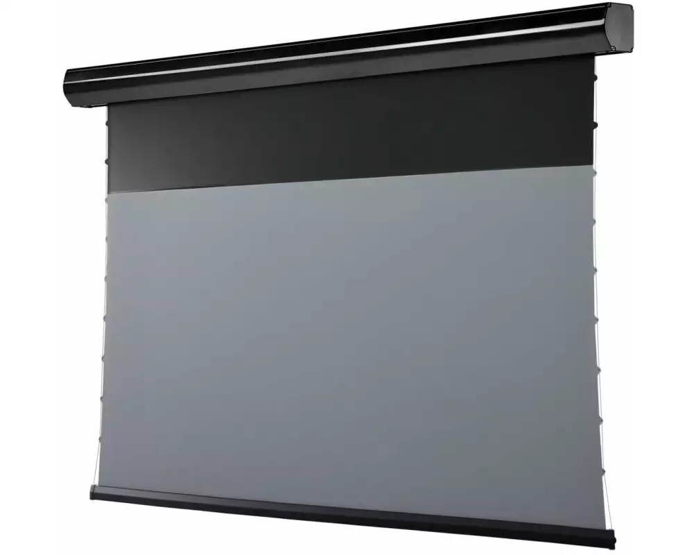 Celexon Motorleinwand HomeCinema Plus Tension 203.7x114.6 cm Schwarz