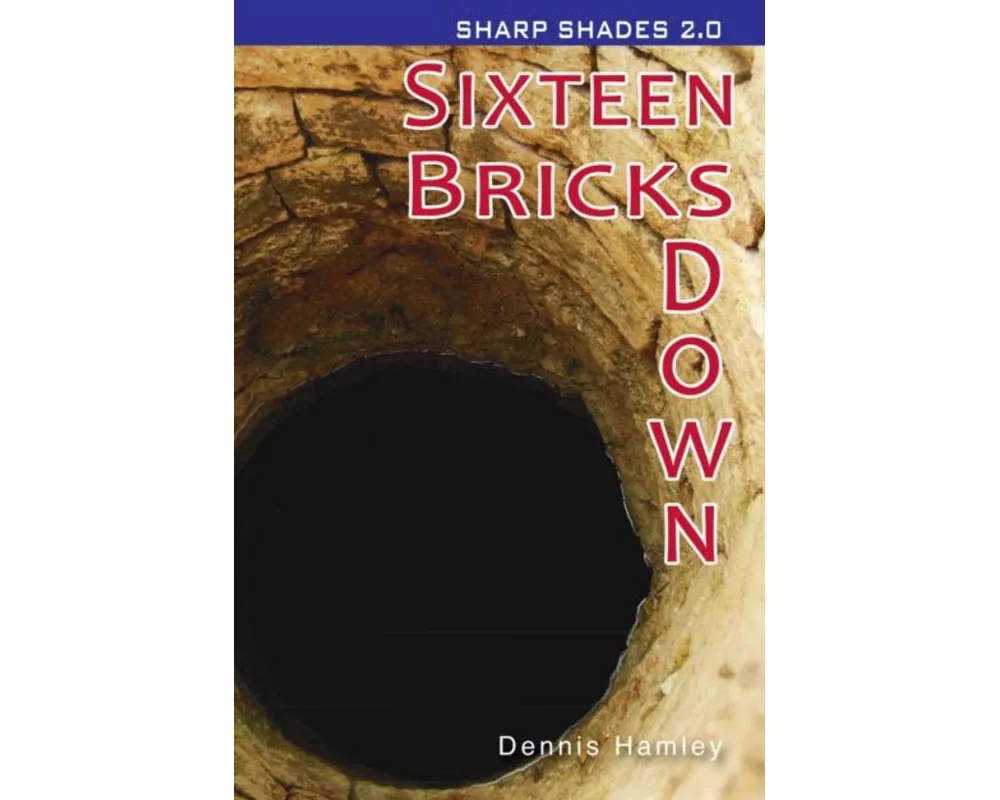 Sixteen Bricks Down (Sharp Shades)