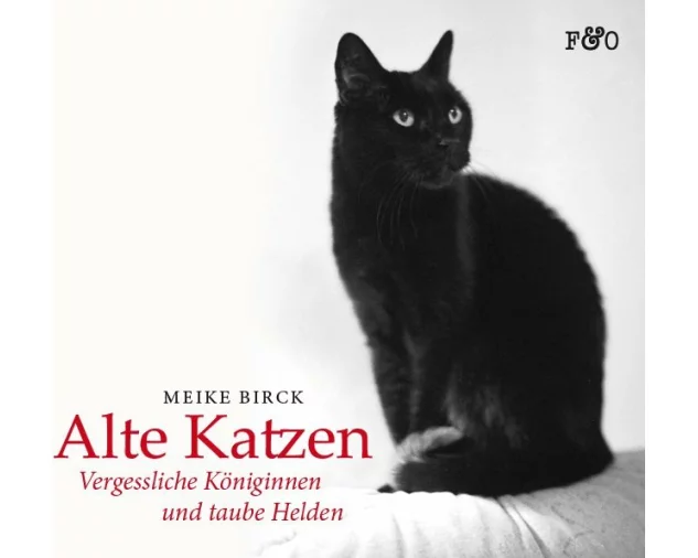 Alte Katzen