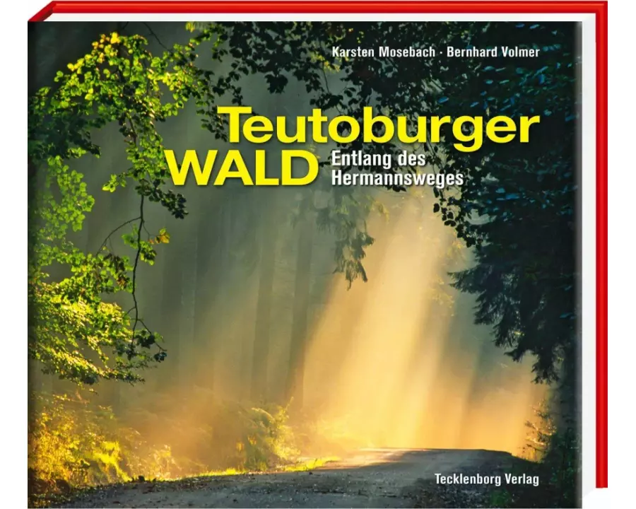 Teutoburger Wald