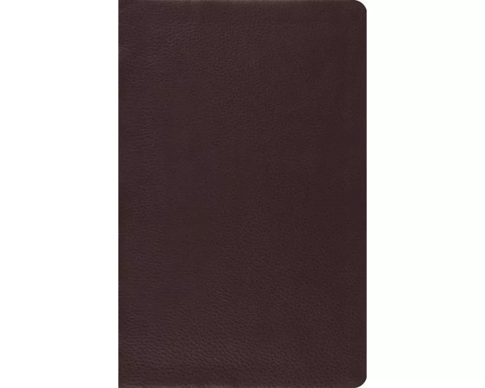 Large Print Thinline Reference Bible-ESV