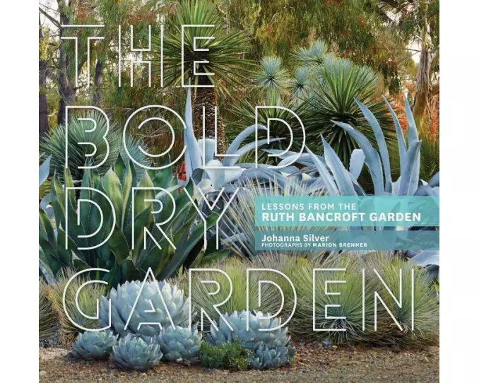 The Bold Dry Garden