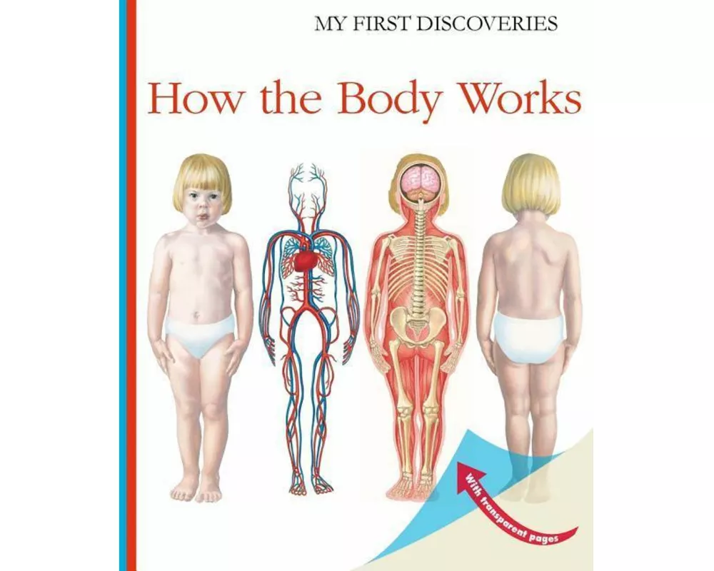 How the Body Works