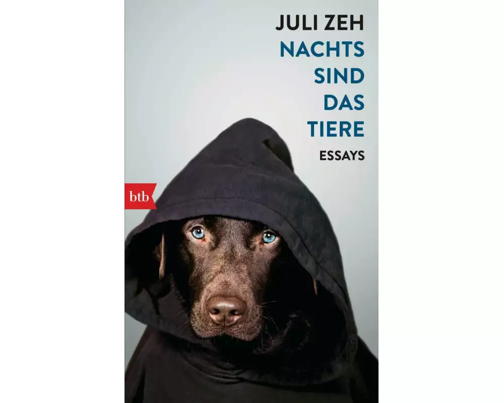 Nachts sind das Tiere