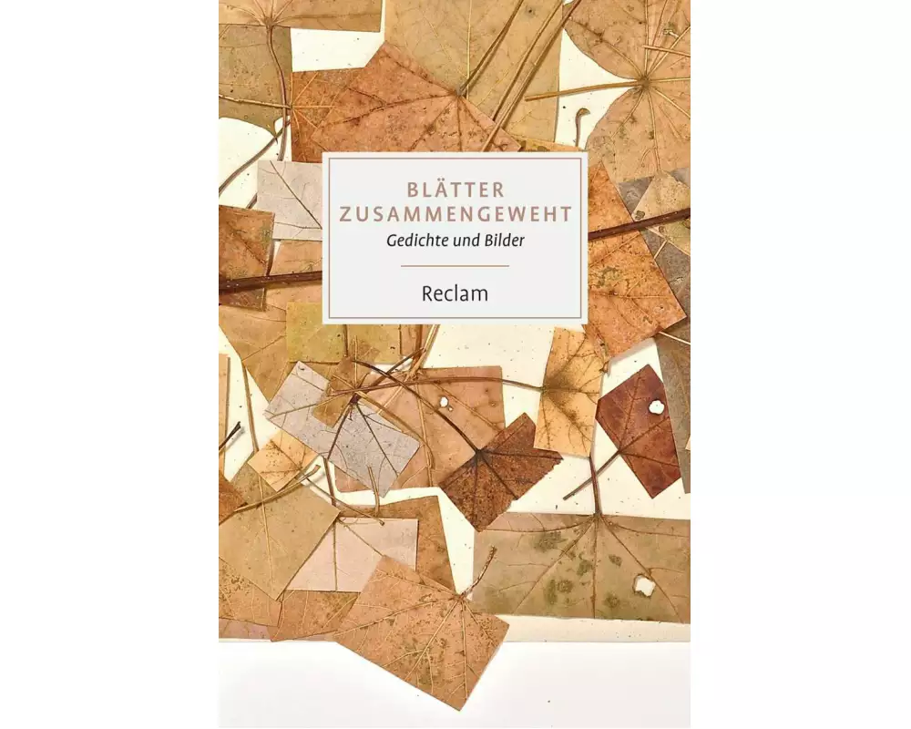 Blätter zusammengeweht