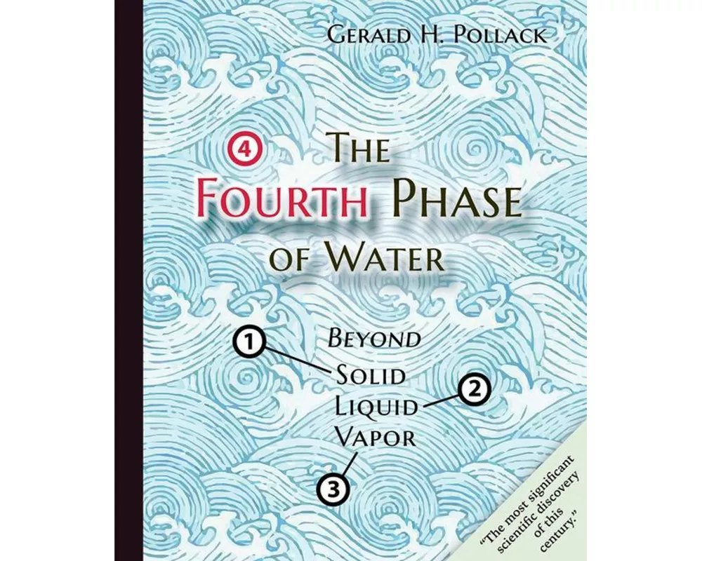 The Fourth Phase of Water
