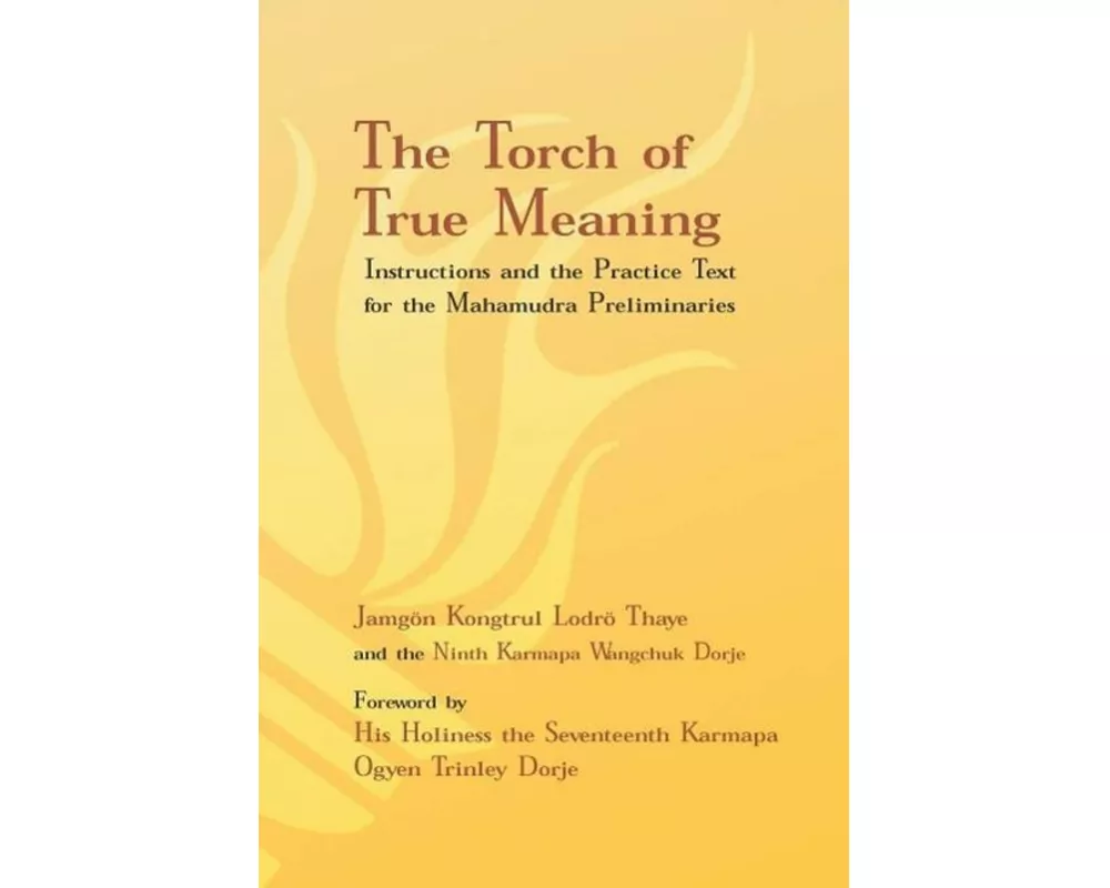 Torch of True Meaning
