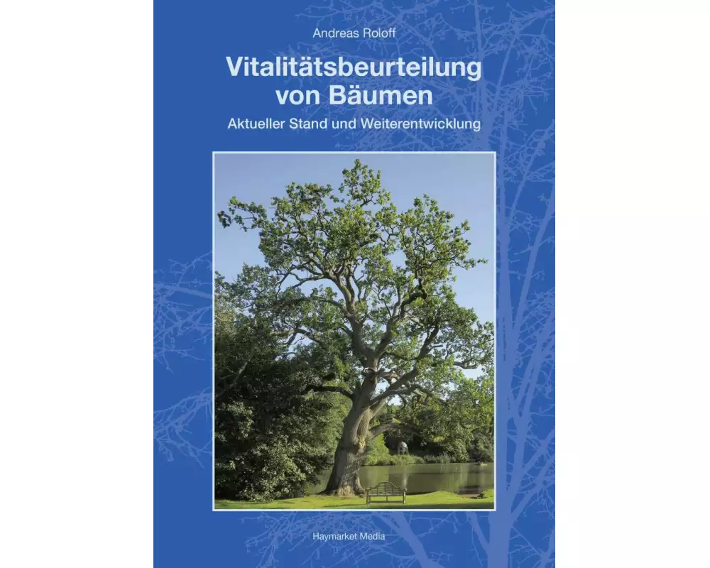 Vitalitätsbeurteilung von Bäumen