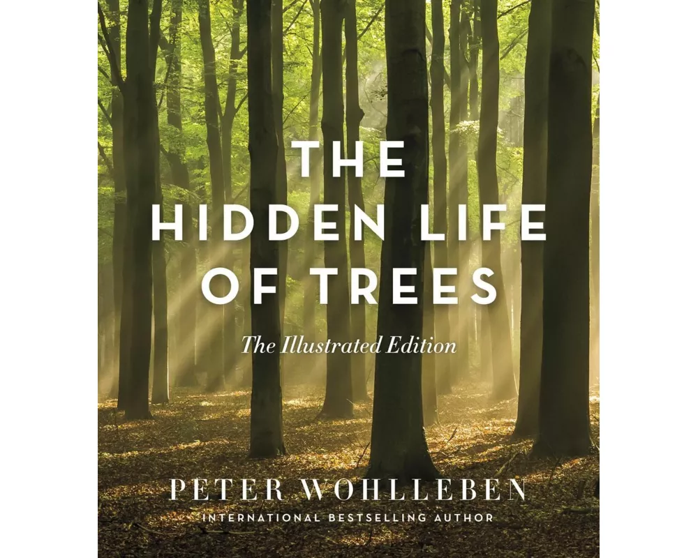 The Hidden Life of Trees: The Illustrated Edition