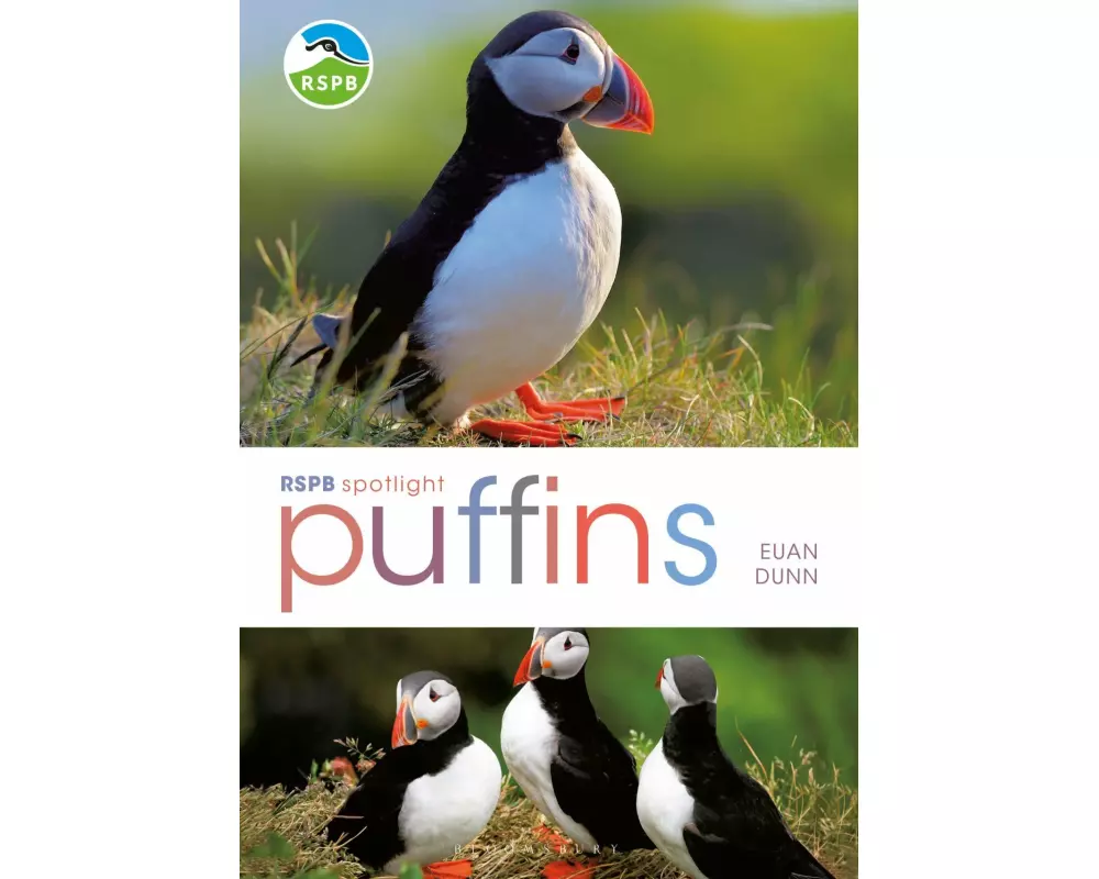 RSPB Spotlight: Puffins