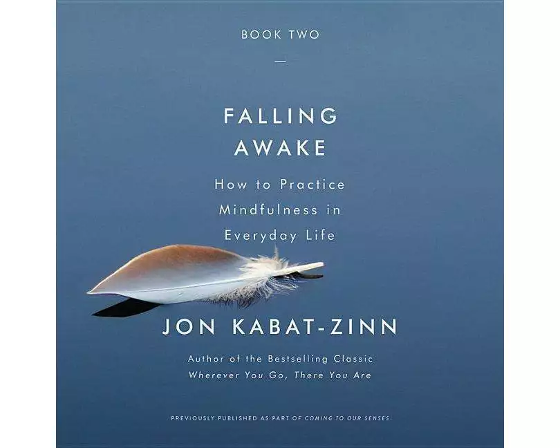 Falling Awake: How to Practice Mindfulness in Everyday Life