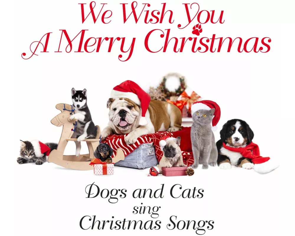 We Wish You A Merry Christmas