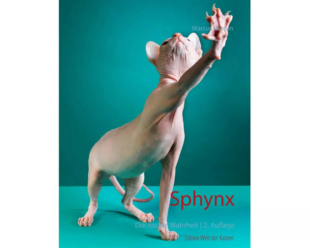 Sphynx
