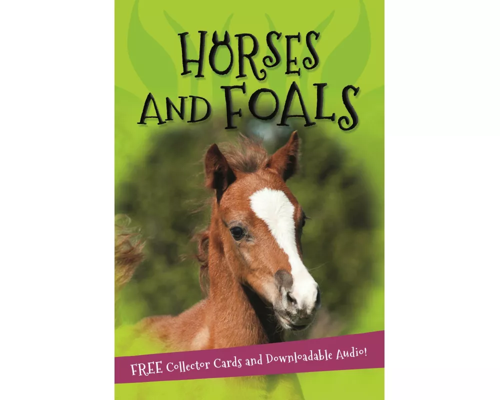 It's all about... Horses and Foals