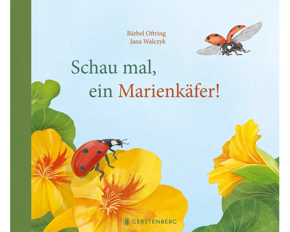 Schau mal, ein Marienkäfer!
