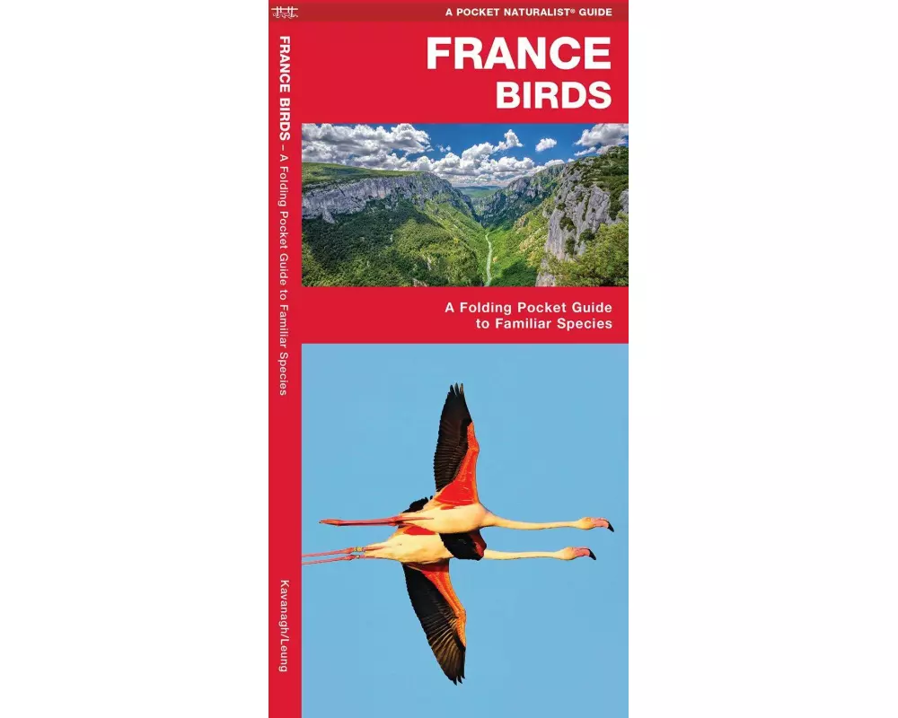 France Birds