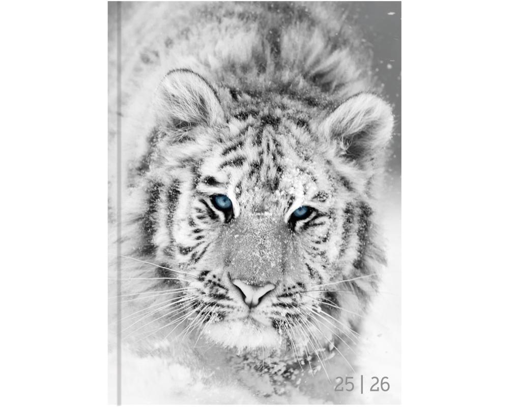 Biella Schüleragenda Mydiary 25/26 FSC, 1T/1S, 12 x 16.5 cm