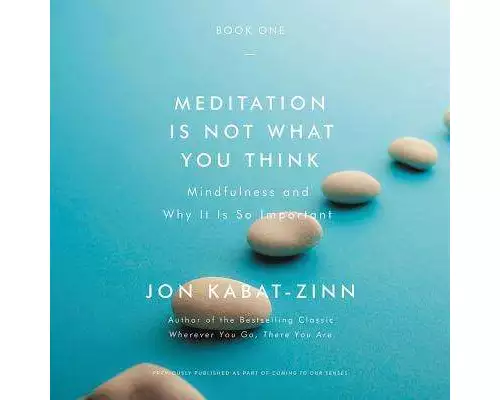 Meditation Is Not What You Think: Mindfulness and Why It Is So Important