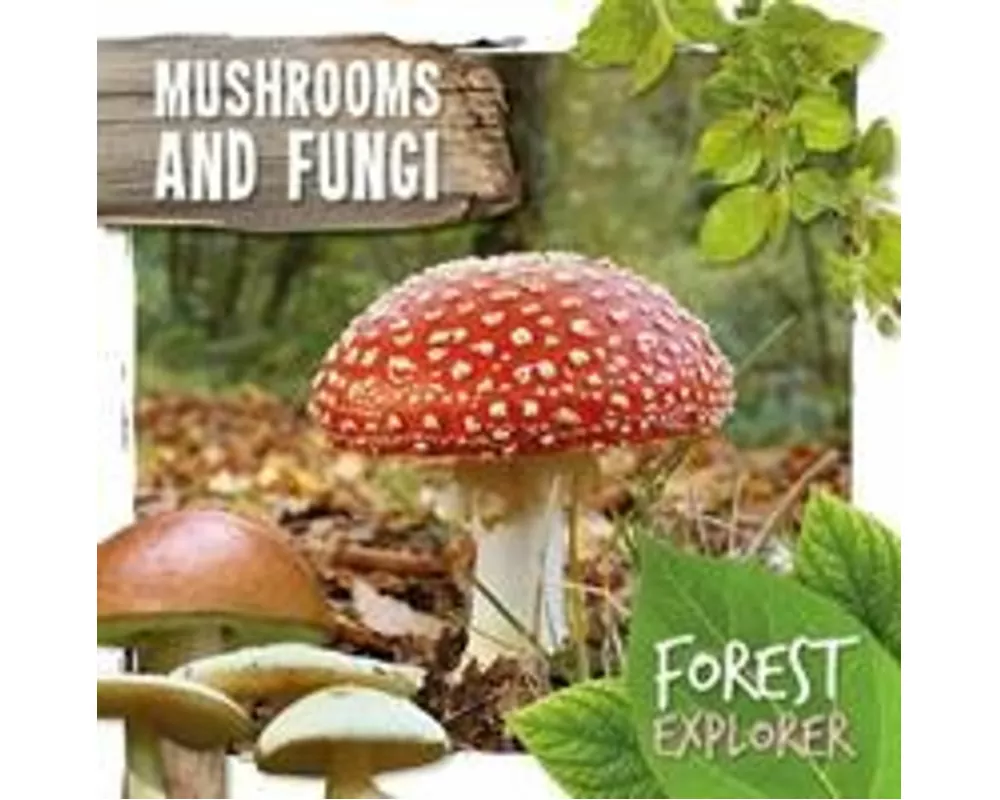 Mushrooms & Fungi