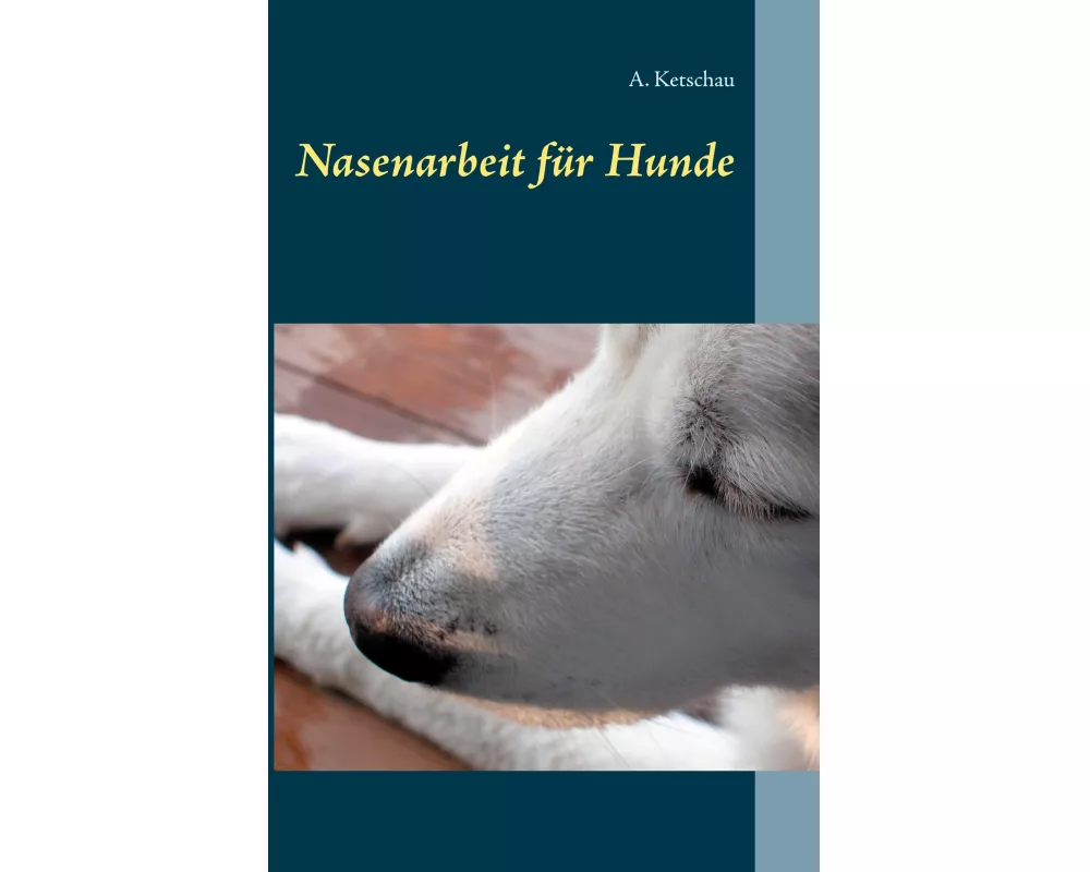 Nasenarbeit für Hunde