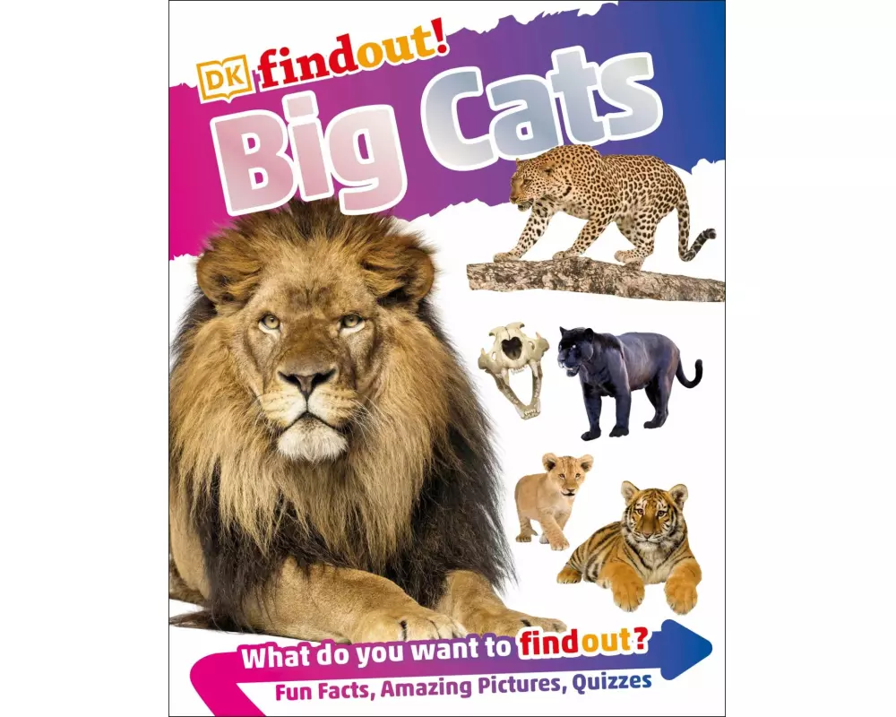 DKfindout! Big Cats